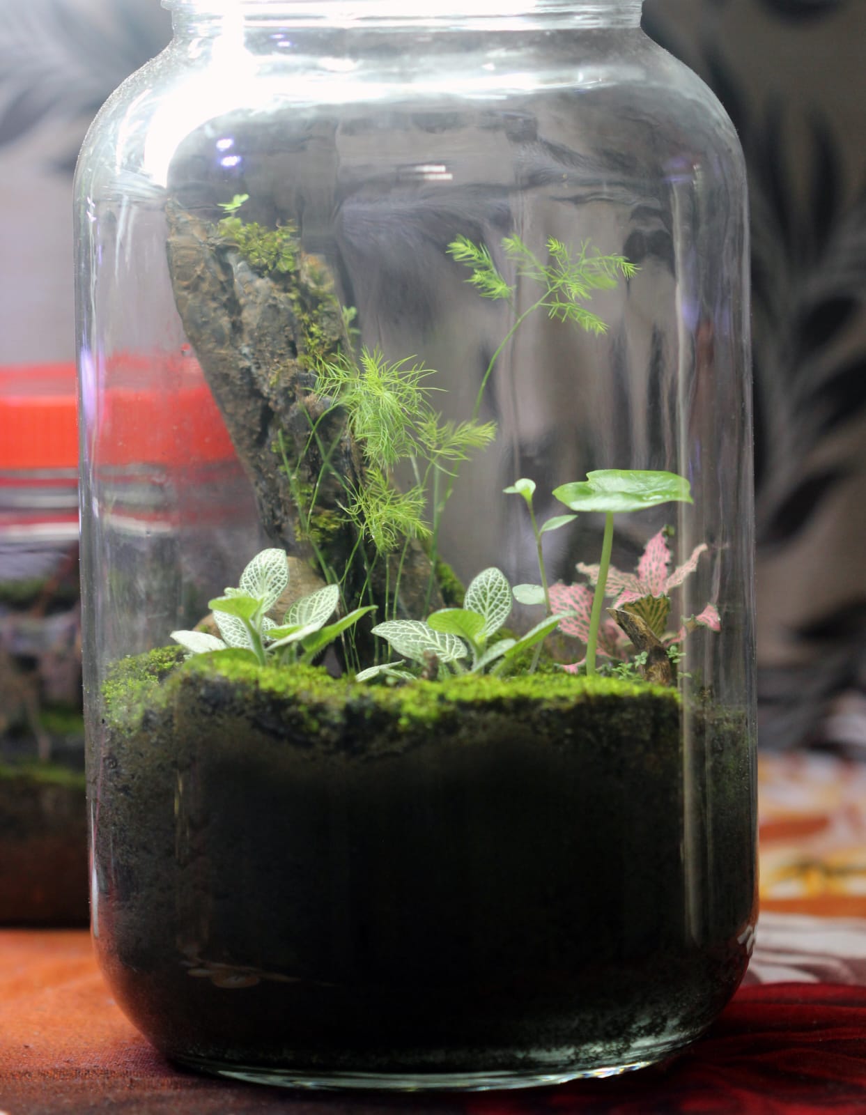 Verdora Terrarium Whispering Fern Valley